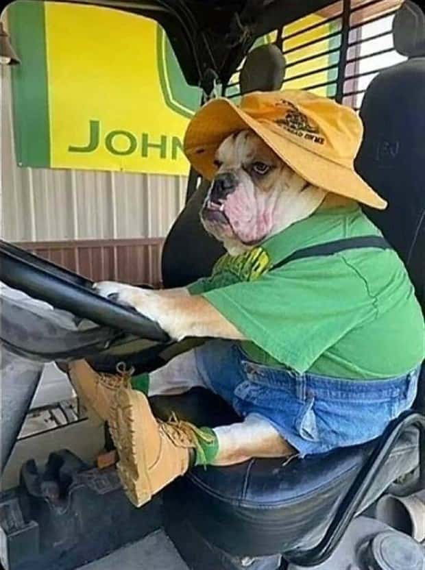 Klyker Picdump #1787 (42 photos)