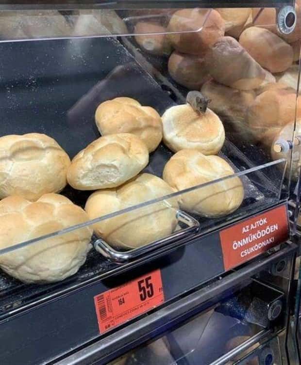 Klyker Picdump #1787 (42 photos)