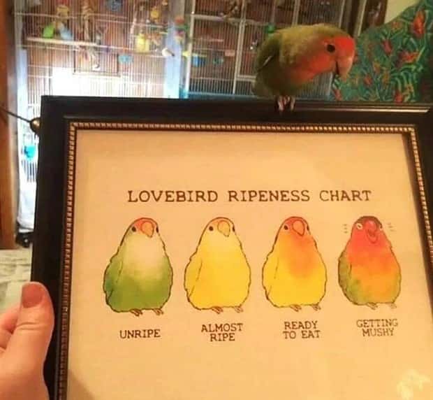 Klyker Picdump #1787 (42 photos)