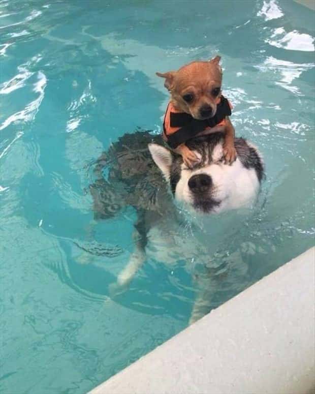 Klyker Picdump #1787 (42 photos)