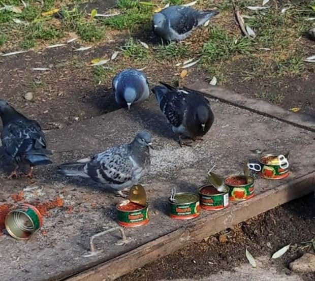 Klyker Picdump #1789 (44 photos)