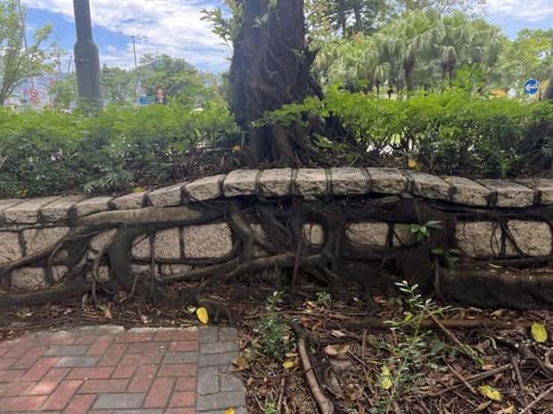 Klyker Picdump #1789 (44 photos)