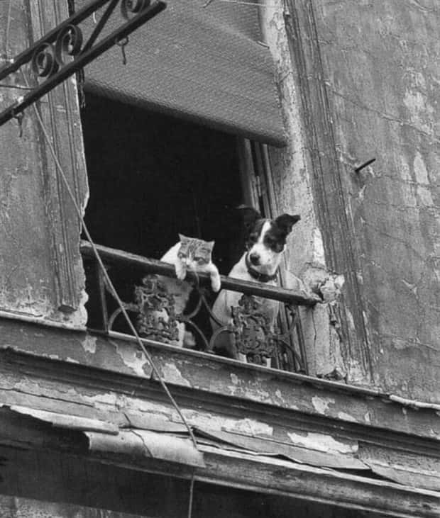 Klyker Picdump #1789 (44 photos)