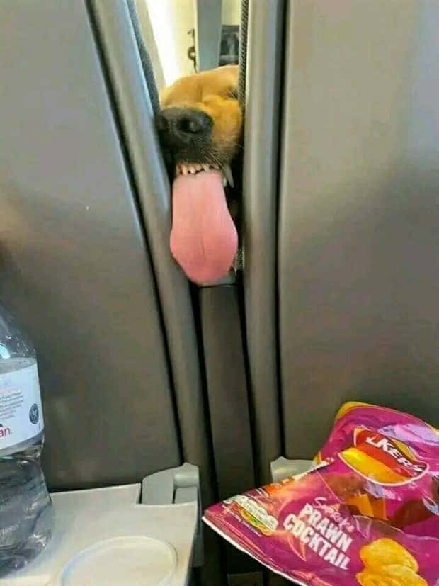 Klyker Picdump #1789 (44 photos)