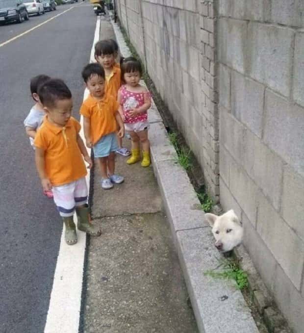 Klyker Picdump #1789 (44 photos)