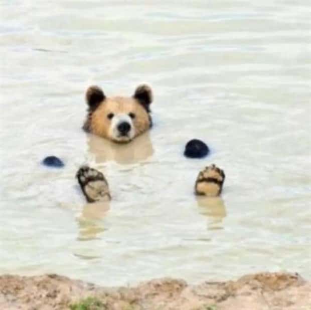 Klyker Picdump #1789 (44 photos)