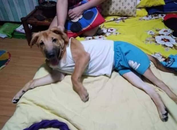 Klyker Picdump #1789 (44 photos)