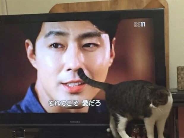 klyker picdump 8 18 2025 11 Klyker Picdump #1791 (41 photos)