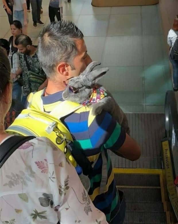 Klyker Picdump #1792 (42 photos)