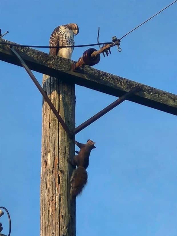 Klyker Picdump #1792 (42 photos)