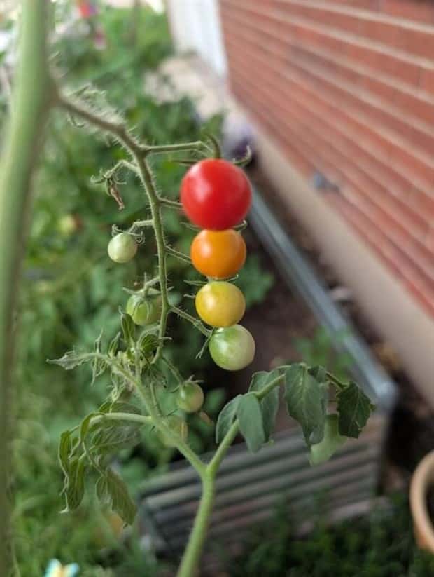 Klyker Picdump #1793 (43 photos)