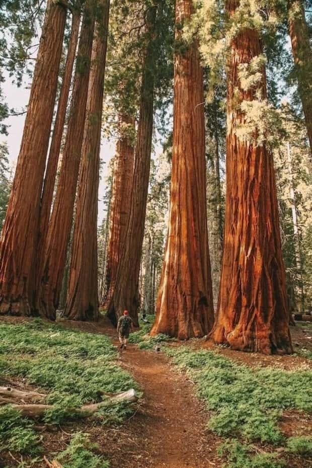 Klyker Picdump #1793 (43 photos)