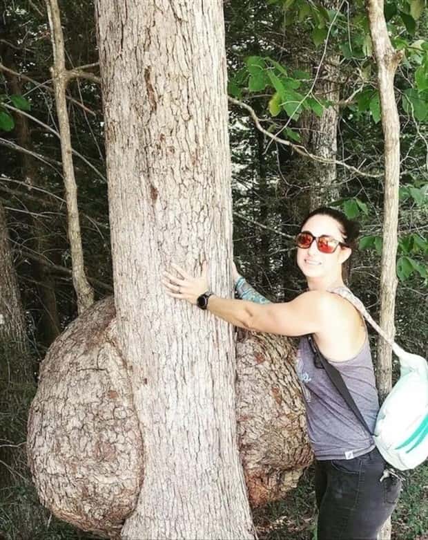 Klyker Picdump #1793 (43 photos)