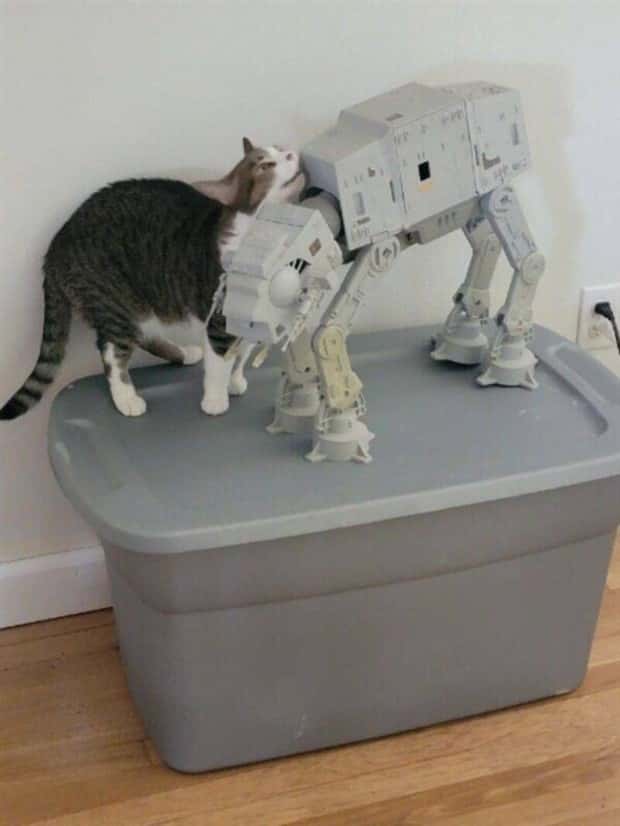 Klyker Picdump #1793 (43 photos)