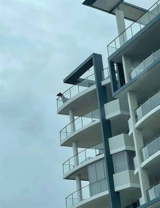 Klyker Picdump #1796 (41 photos)