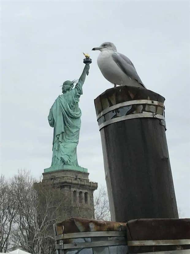 Klyker Picdump #1796 (41 photos)