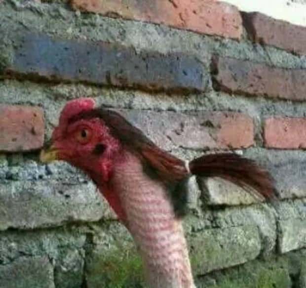 Klyker Picdump #1797 (42 photos)