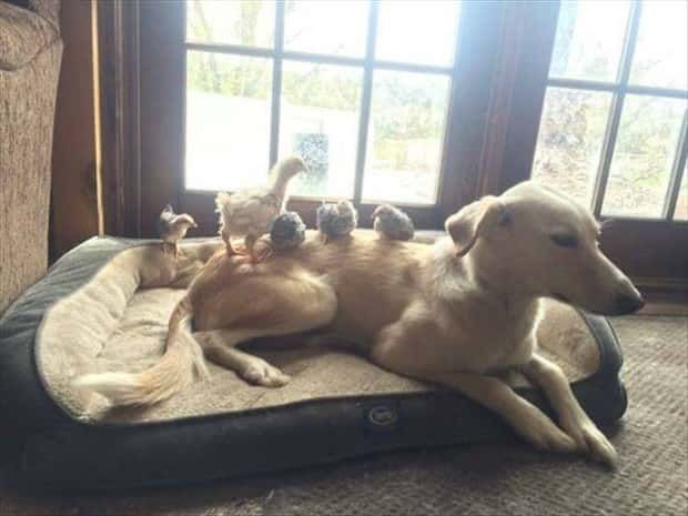 Klyker Picdump #1797 (42 photos)