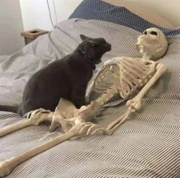 Klyker Picdump #1797 (42 photos)