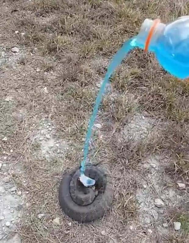 Klyker Picdump #1797 (42 photos)