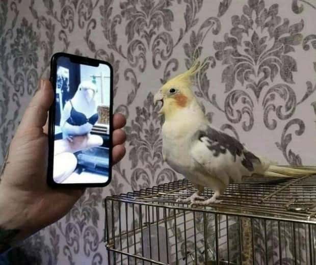 Klyker Picdump #1797 (42 photos)