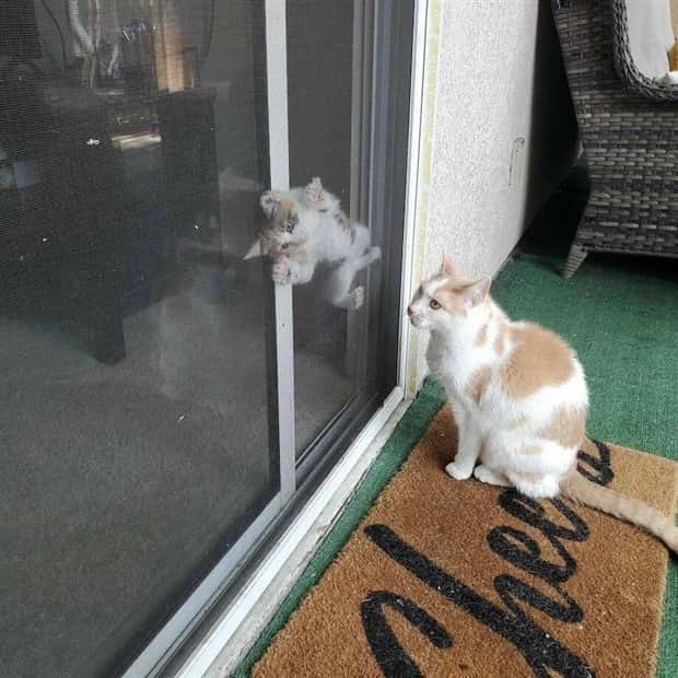 Klyker Picdump #1797 (42 photos)