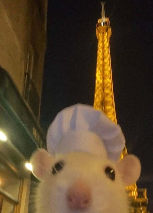 Klyker Picdump #1798 (43 photos)