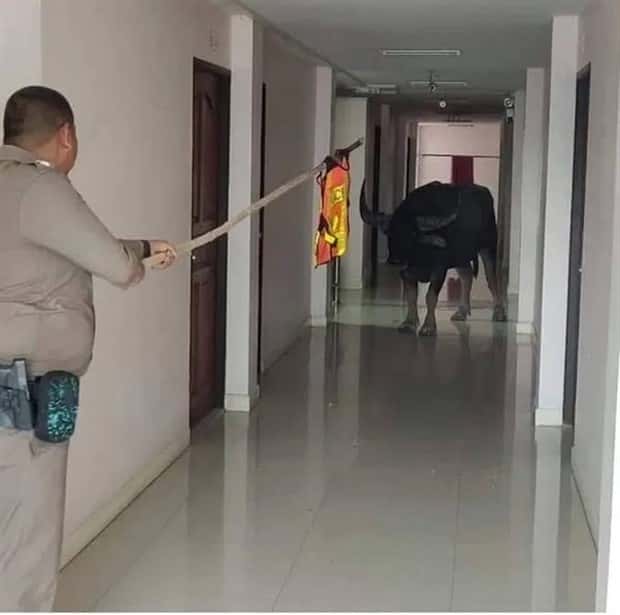 Klyker Picdump #1798 (43 photos)