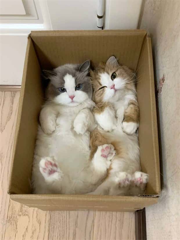 Klyker Picdump #1799 (44 photos)