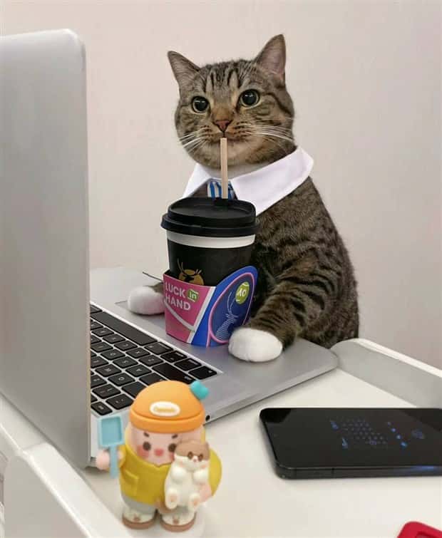 Klyker Picdump #1799 (44 photos)