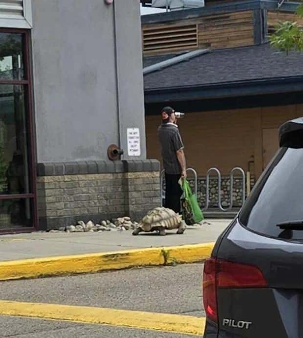 Klyker Picdump #1799 (44 photos)