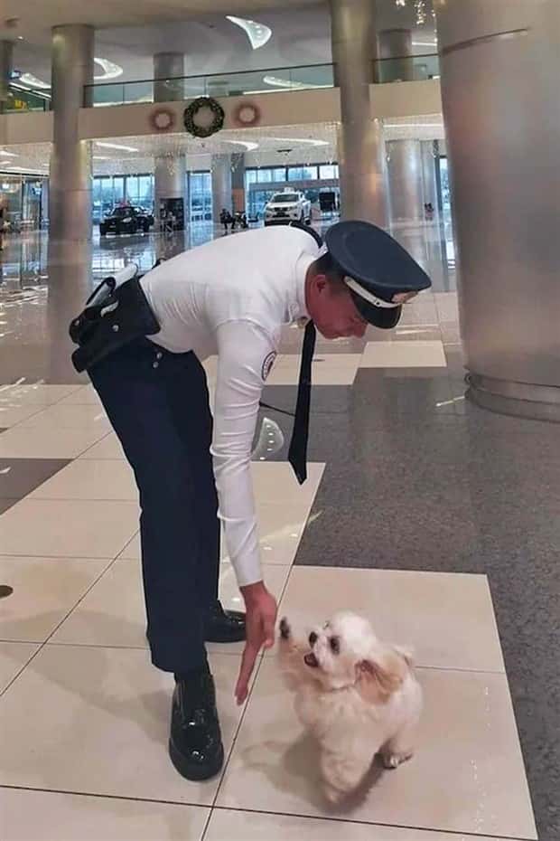 klyker picdump 8 4 2025 16 Klyker Picdump #1781 (41 photos)