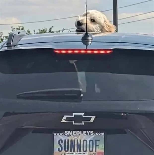 klyker picdump 8 4 2025 23 Klyker Picdump #1781 (41 photos)