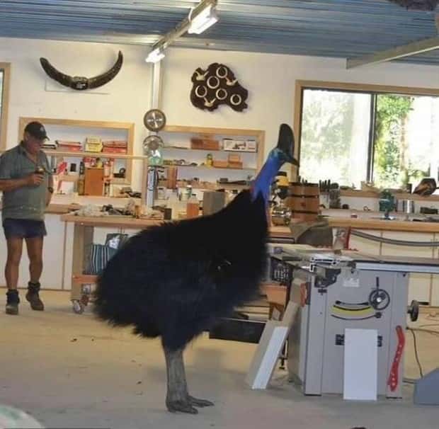 klyker picdump 8 4 2025 32 Klyker Picdump #1781 (41 photos)