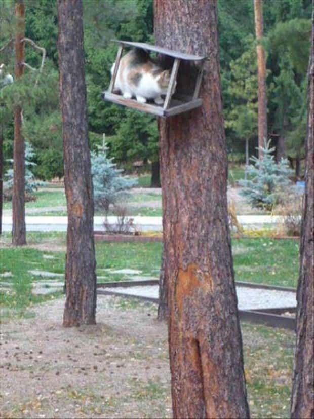 Klyker Picdump #1782 (42 photos)