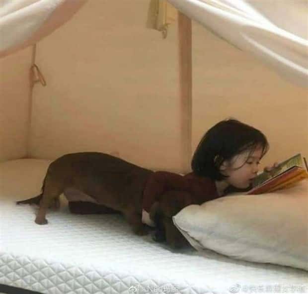 Klyker Picdump #1782 (42 photos)