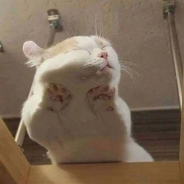 Klyker Picdump #1782 (42 photos)