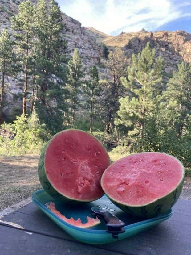 Klyker Picdump #1783 (43 photos)