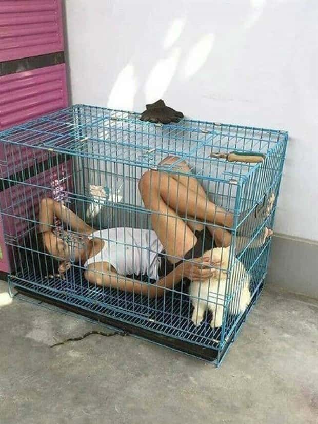 Klyker Picdump #1783 (43 photos)