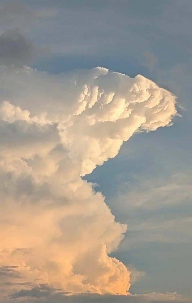 Klyker Picdump #1783 (43 photos)