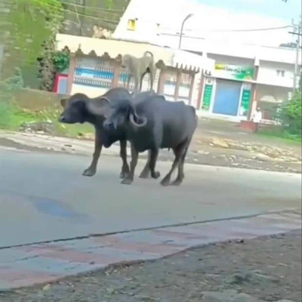 Klyker Picdump #1783 (43 photos)