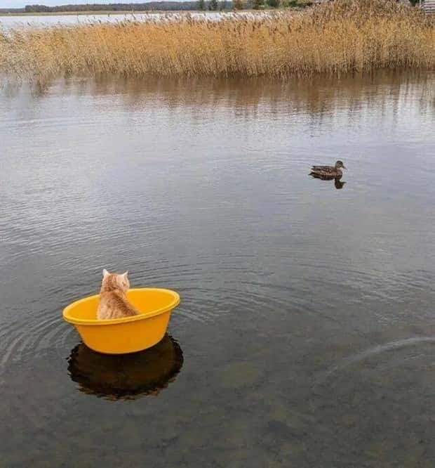 Klyker Picdump #1783 (43 photos)