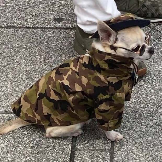 Klyker Picdump #1783 (43 photos)