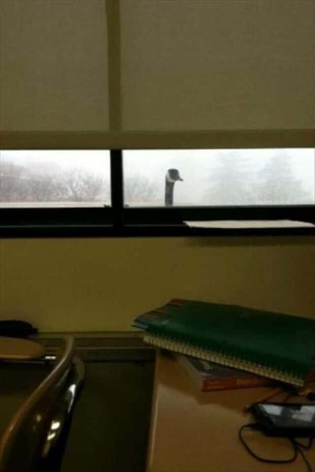 Klyker Picdump #1783 (43 photos)