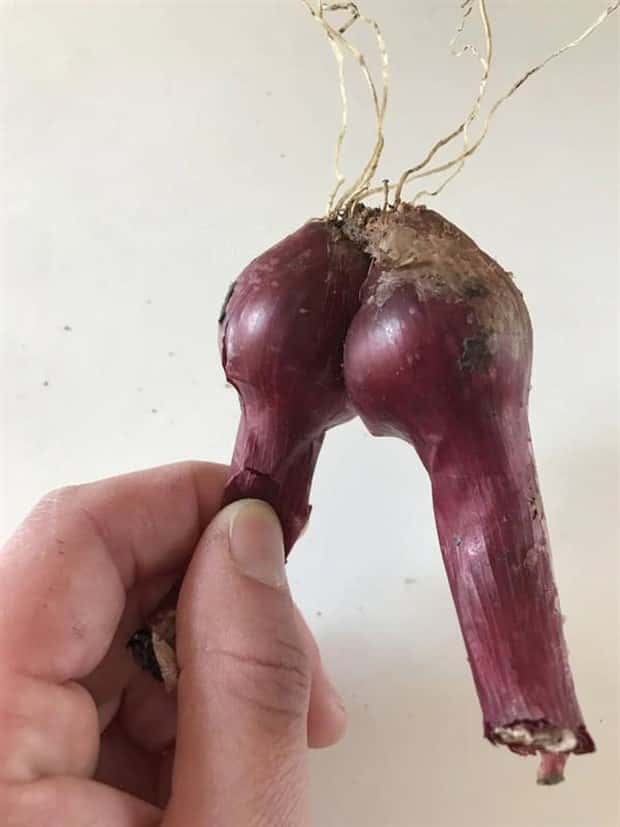 Klyker Picdump #1783 (43 photos)