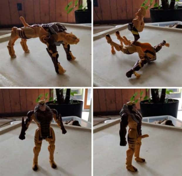 Wild Designs That Got Naughty (25 photos)