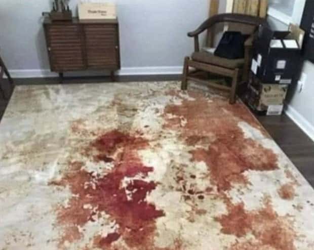 Wild Designs That Got Naughty (25 photos)