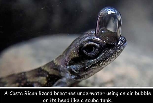 Interesting Pictures with Captions #170 (22 photos)