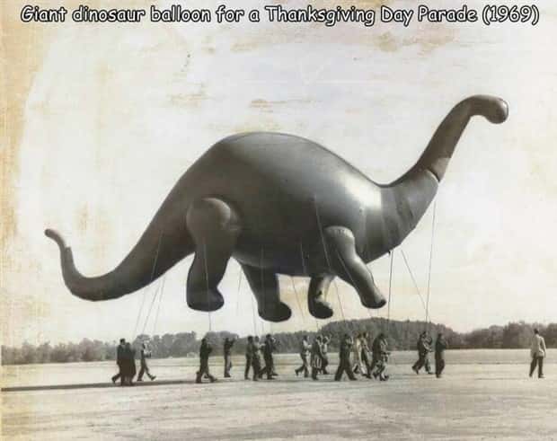 Interesting Pictures with Captions #170 (22 photos)