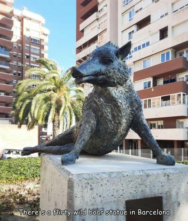 Interesting Pictures with Captions #167 (21 photos)